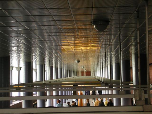 P1010003.jpg