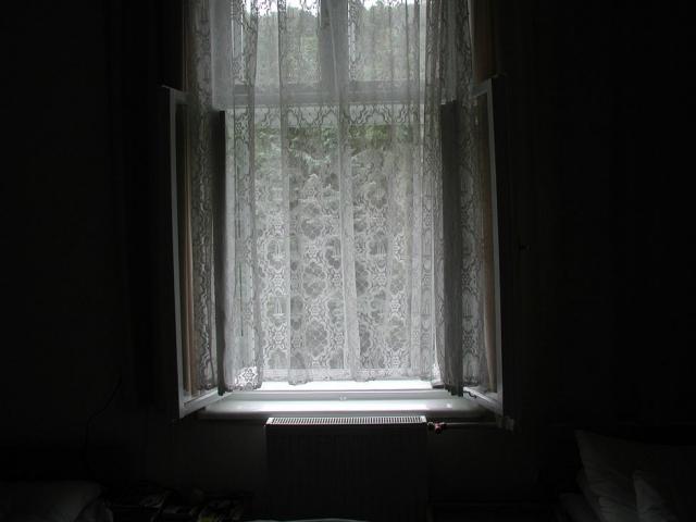 P1010007.jpg