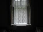 P1010007.jpg