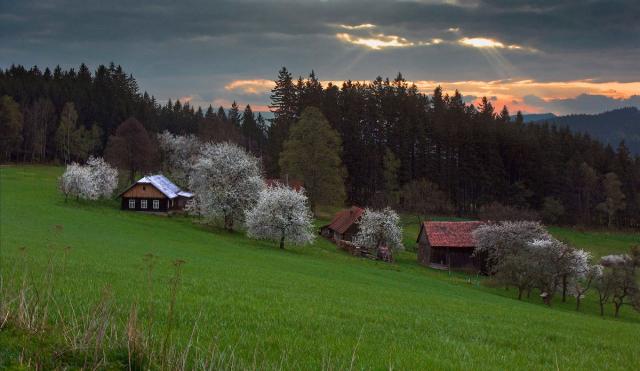 Jaro 2008_02