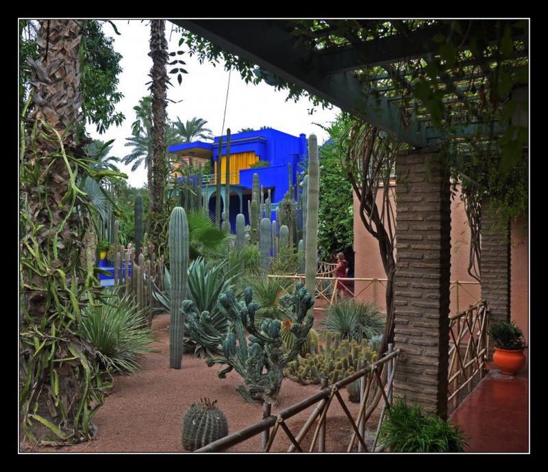 c16 Jardin Majorelle