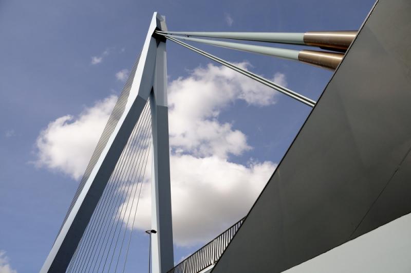 m03 Erasmus bridge, Rotterdam, Holandsko