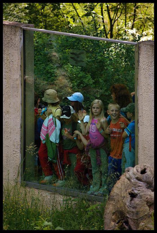 F30 Divoké šelmy v ZOO