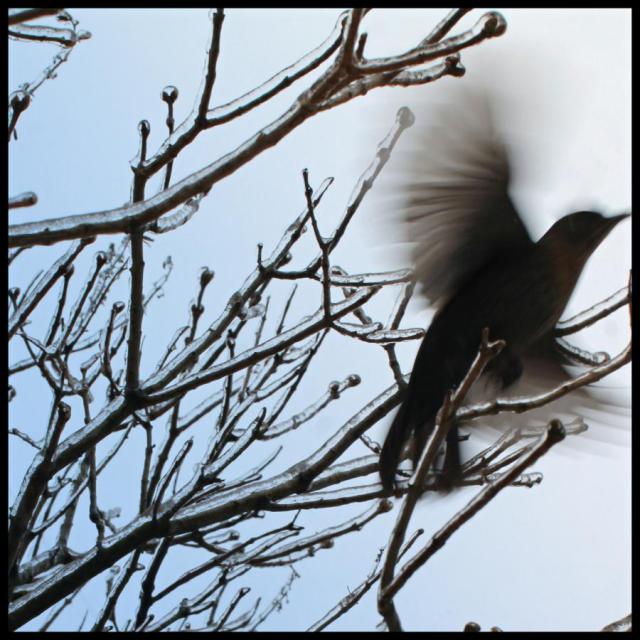 Q01-Escape