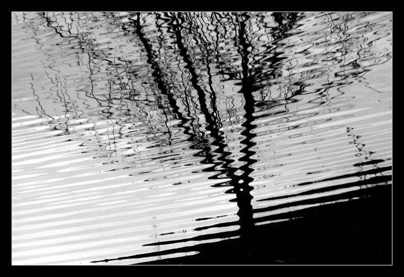 T19-Vlnění