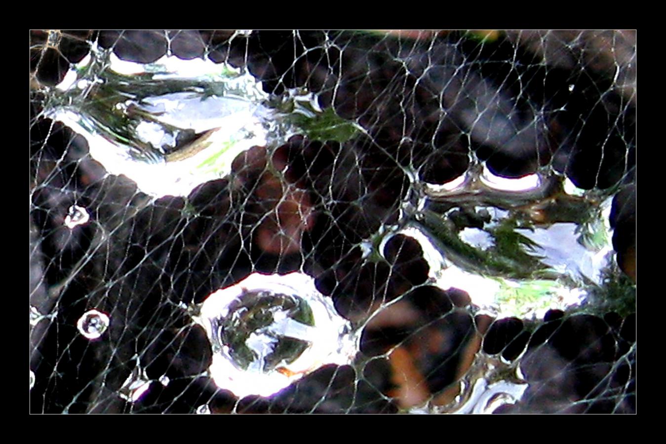 T20-SPOUTANA'