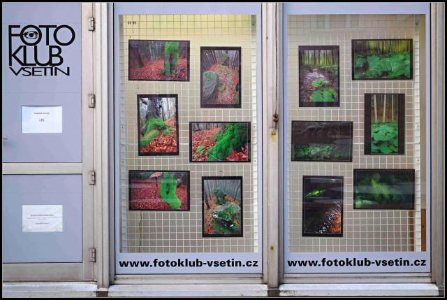 2015/09-Novotný František-autorská-Les