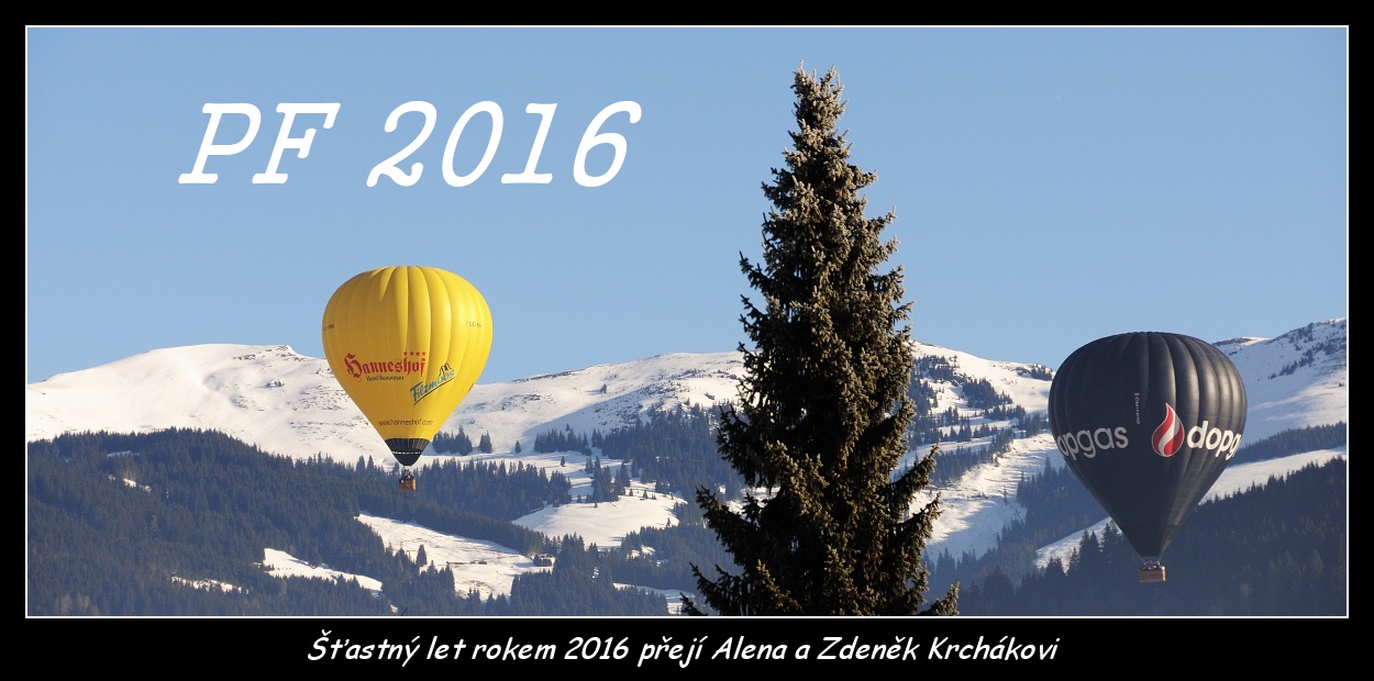 Y11-PF 2016