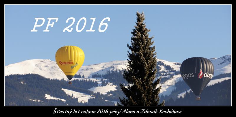 Y11-PF 2016