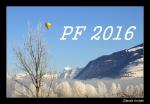 Y12-PF 2016