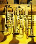 1603_10 Trumpety hrajte