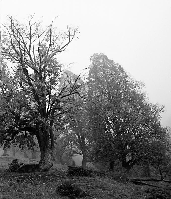 1604_18 Nostalgická krajina