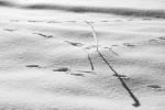 1704_08 Stopy