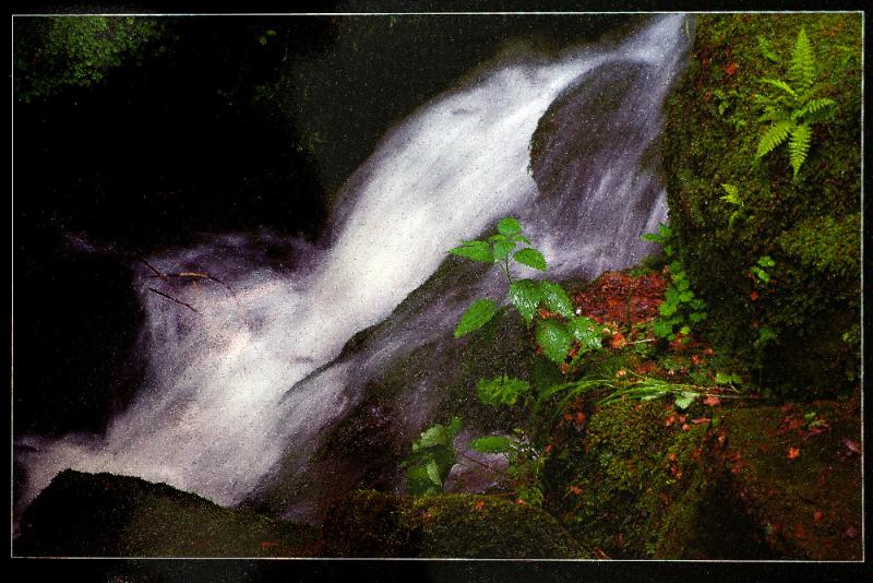IMGP2879
