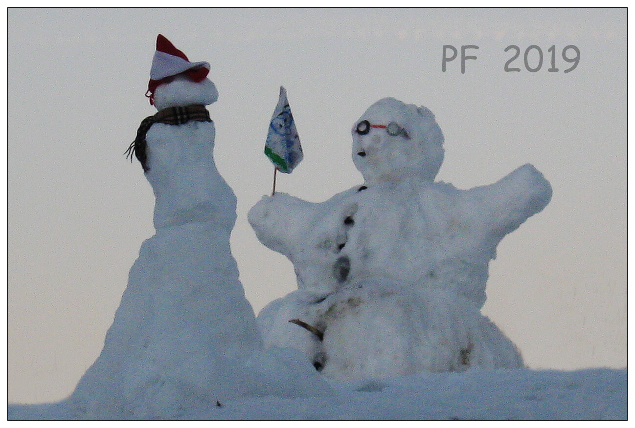1812_07 PF - 2019