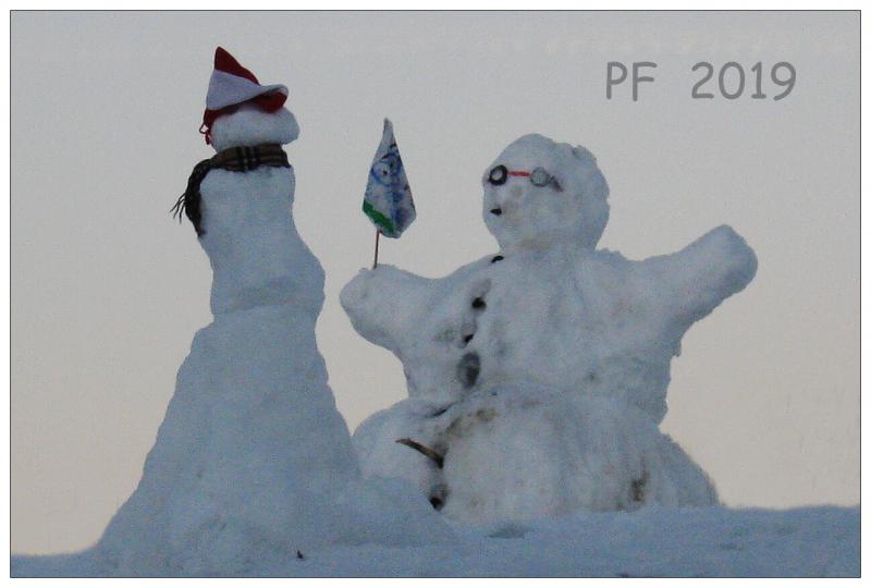 1812_07 PF - 2019