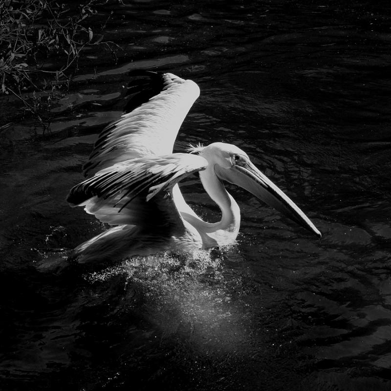 2002_01 P