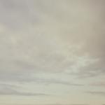 _PET2945 (1)