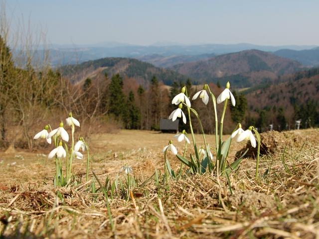 2104_02 Jaro na Kohútce