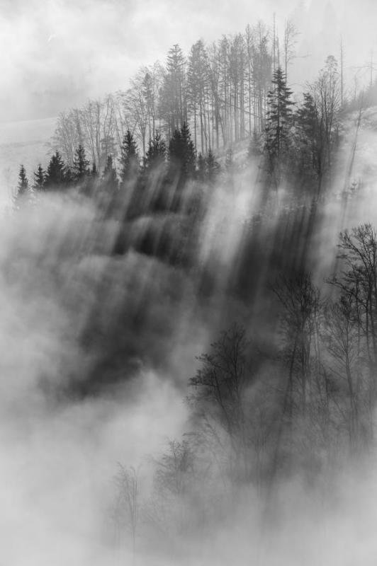 2111_01 Stíny