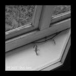 2112_07 IMG_20211209_143344
