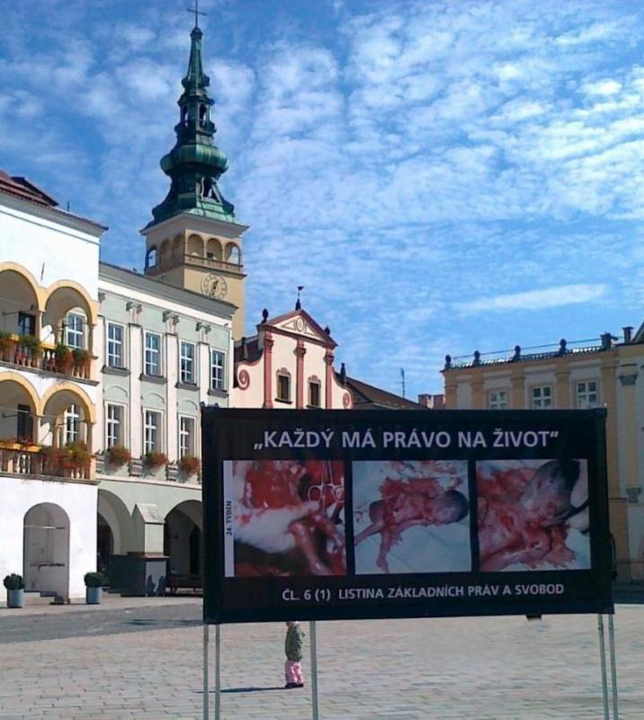 2505_03 bez názvu 3