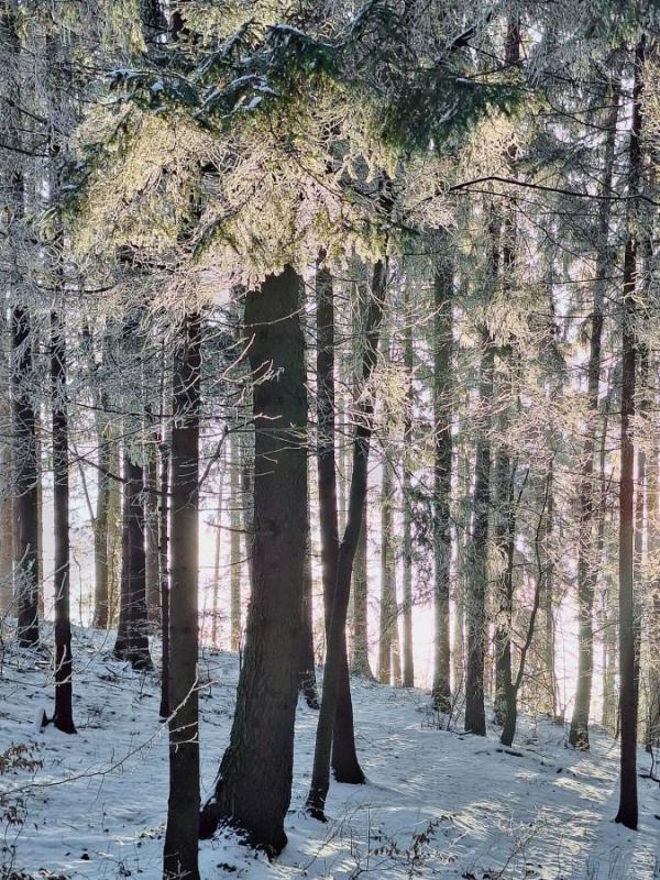 2601_11 Prozářená