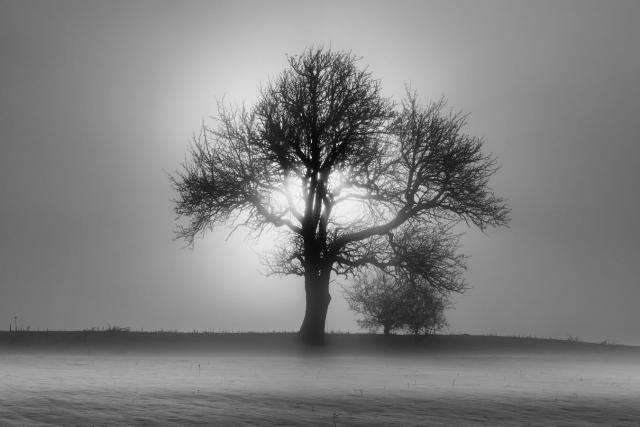 2602_07 V poli