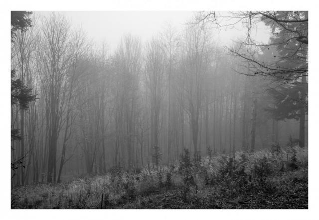 2602_24 les1