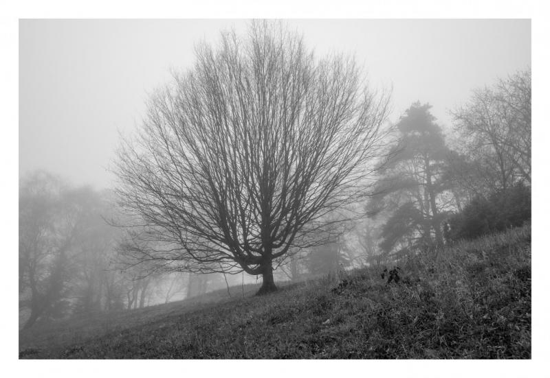 2602_25 les2