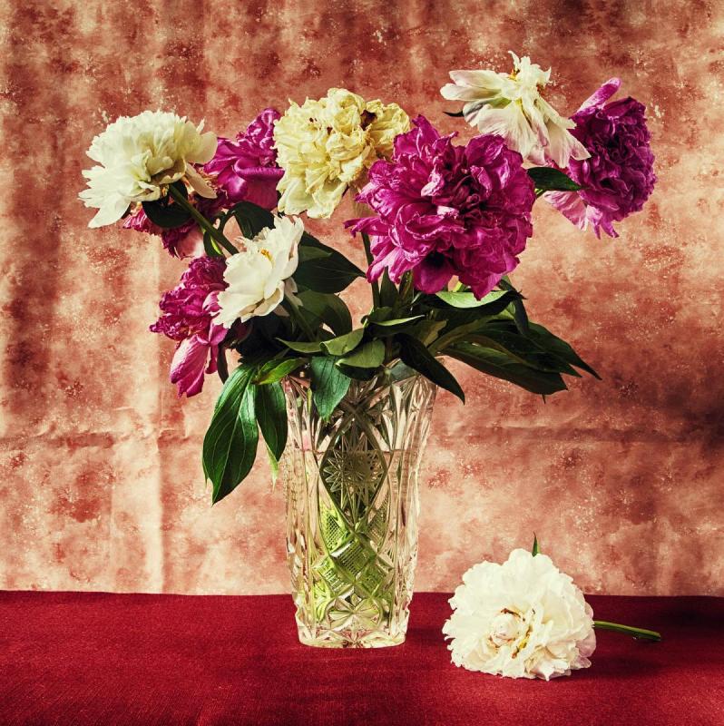 Broken Flowers 4